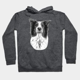 Australian Shepard Graphic Hoodie